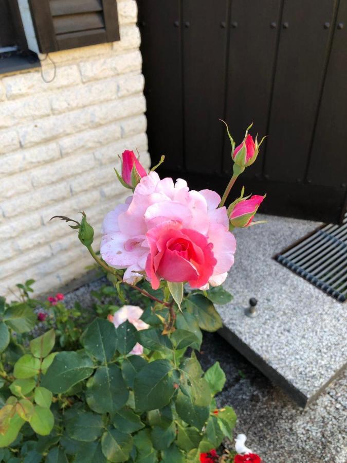 Anitas B&B Stockholm/Vaellingby المظهر الخارجي الصورة